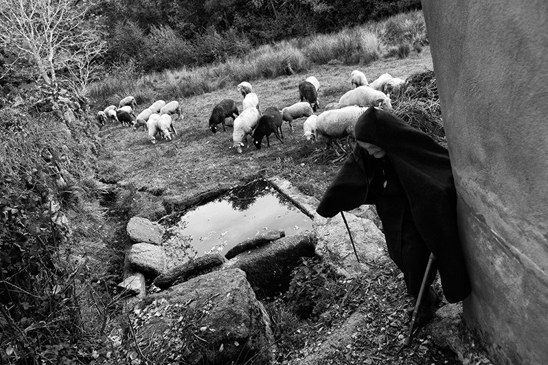 Woman with sheep in the pasture, Montalegre municipality, Vila Real district, Trás-os-Montes region, Portugal. 2016