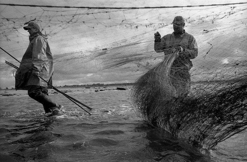близ деревни Унежма, Онежский район, Архангельская область, Россия. 2007