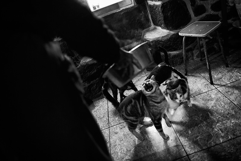 Woman with a bowl of food for cats, Montalegre municipality, Vila Real district, Trás-os-Montes region, Portugal. 2017