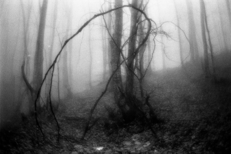 On the pass on the road to Limankoym Çayeli district, Rize province, Turkey. January 2010