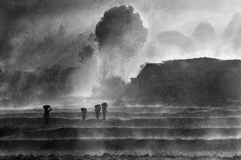 Rice paddies at dusk, near Manandona, Antsirabe II district, Vakinankaratra region, Antananarivo province, Republic of Madagascar. 2012