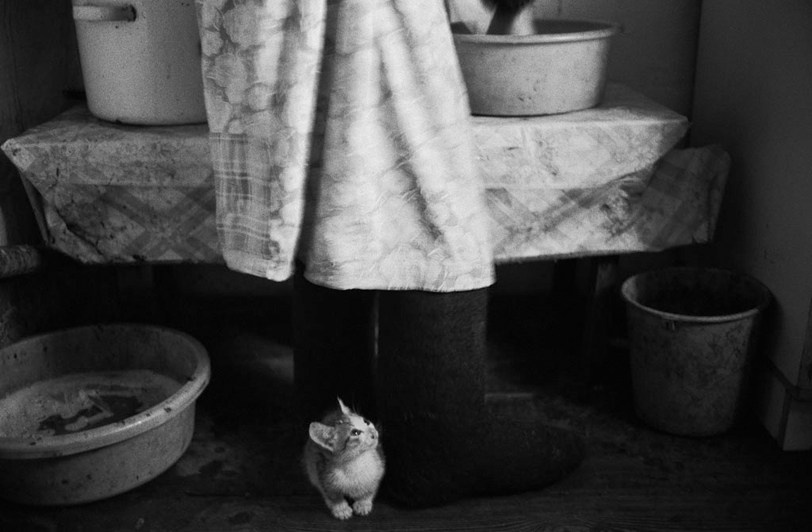 село Покровка, Чановский район, Новосибирская область, Россия. 2010