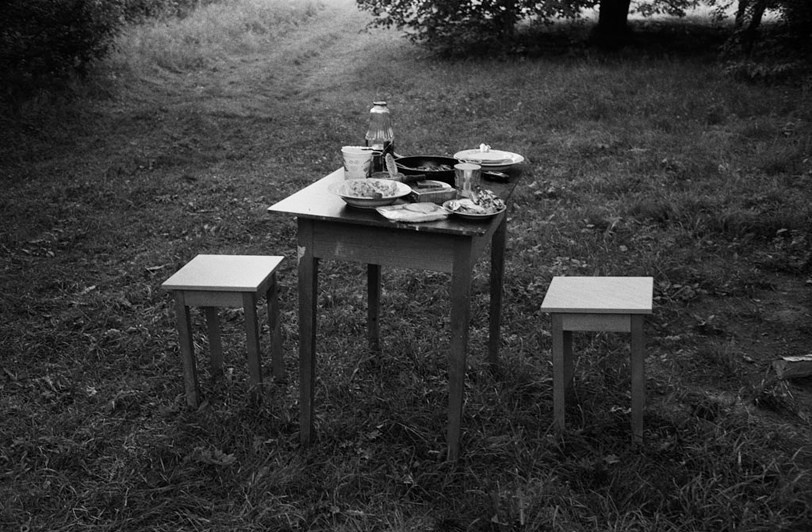 деревня Самолва, Гдовский район, Псковская область, Россия. 2010