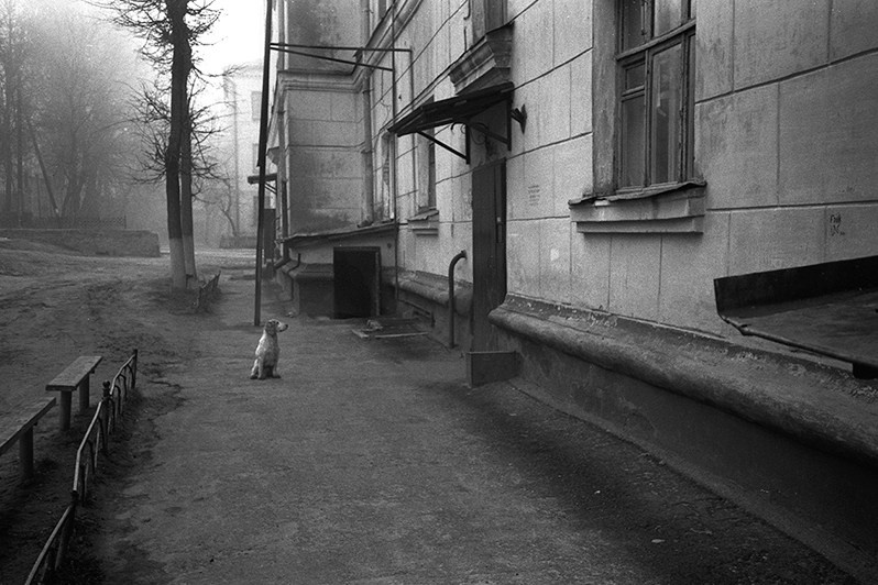 У подъезда, Брянск, Россия. 2004