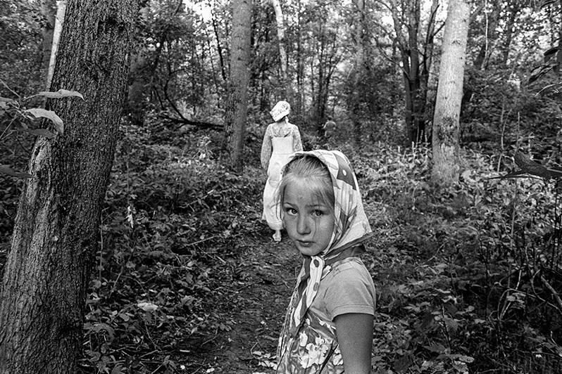 near Zubarevo village, Borisoglebsky district, Yaroslavl region, Russia. July 2021