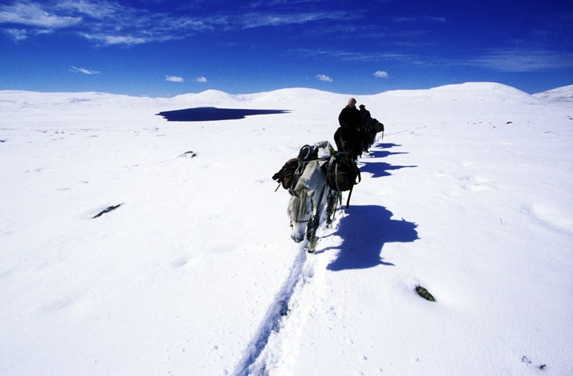 A lunar landscape after heavy snowfall, Ulaan Taiga mountains, Khövsgöl province, Mongolia. September 2013