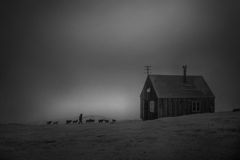 Cape Tobin, East Greenland, Kingdom of Denmark. 2025