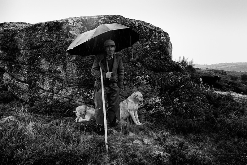 Shepherd on the mountain watches over his goats, Boticas municipality, Vila Real district, Trás-os-Montes region, Portugal. 2015