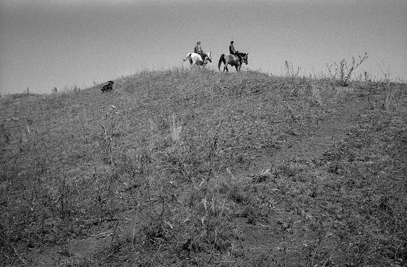 близ посёлка Касторное, Курская область, Россия. 2008