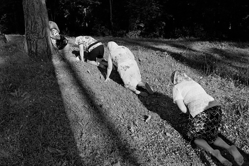 близ деревни Чернецово, Никольский район, Вологодская область, Россия. 2010