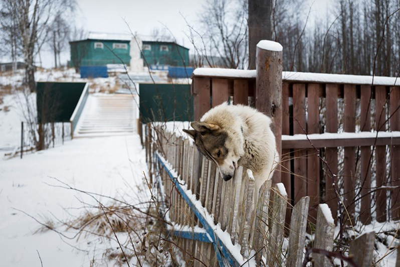 Koslan village, Udorsky district, Komi Republic, Russia. 2018