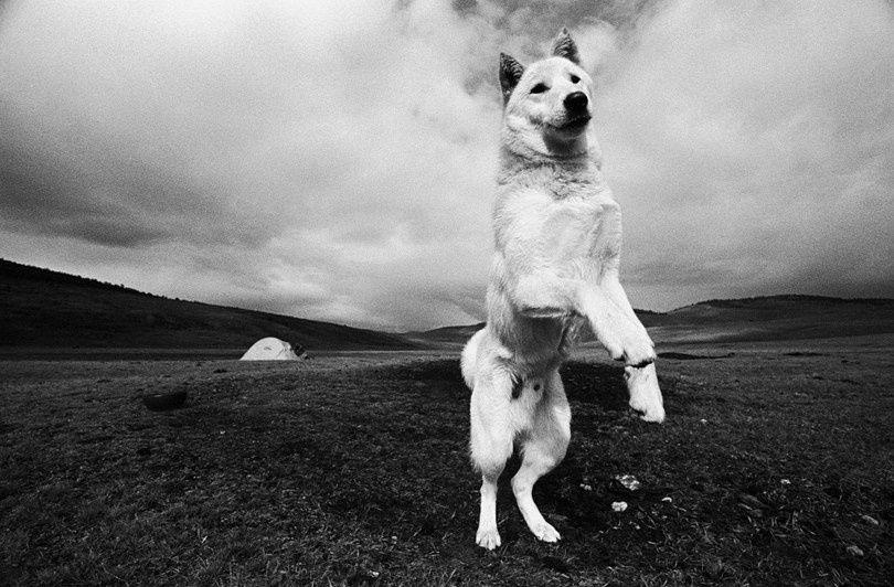 Провинция Хувсгел, Монголия. 2008