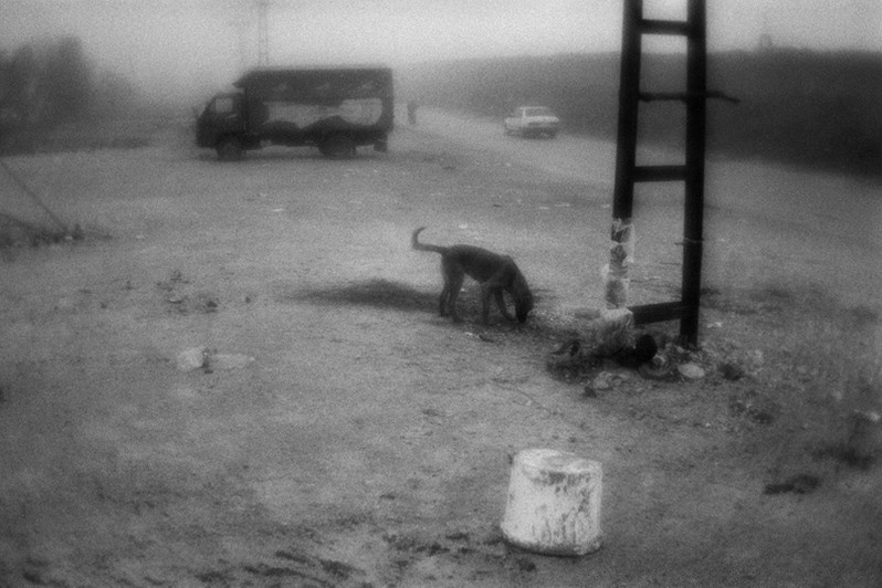 After the trade in meat, Edirne, Marmara region, Turkey. November 2009