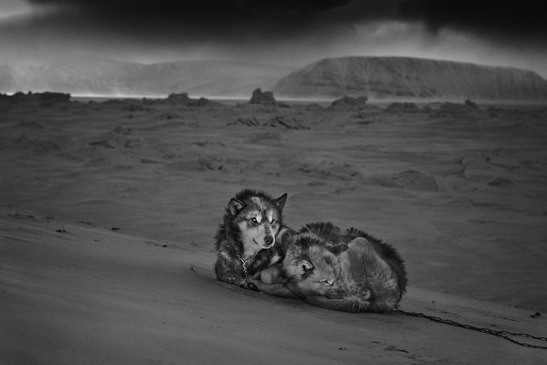 Ragnar Axelsson / Arctic Heroes. Noga Creative Union