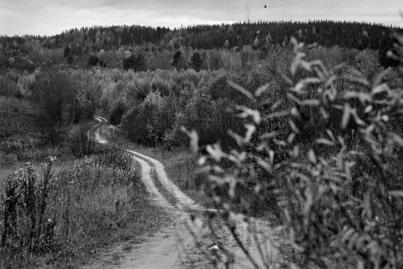 близ деревни Дубовская, Пудожский район, Карелия, Россия. 2013