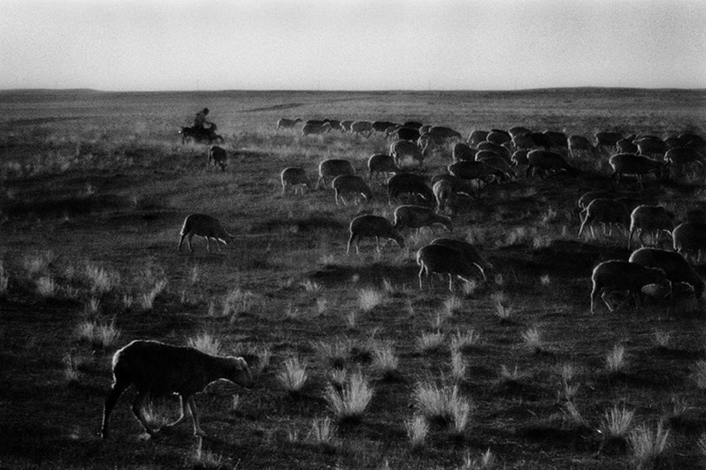 Республика Дагестан, Россия. Сентябрь 2017