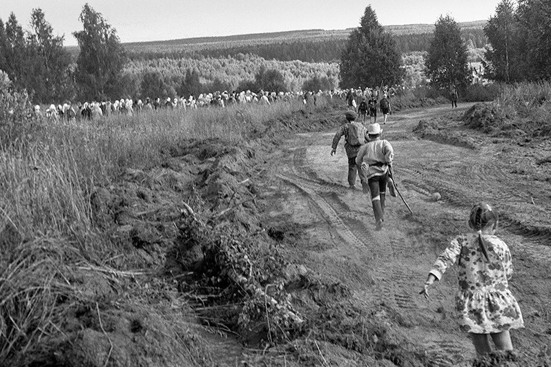 near Zubarevo village, Borisoglebsky district, Yaroslavl region, Russia. July 2021