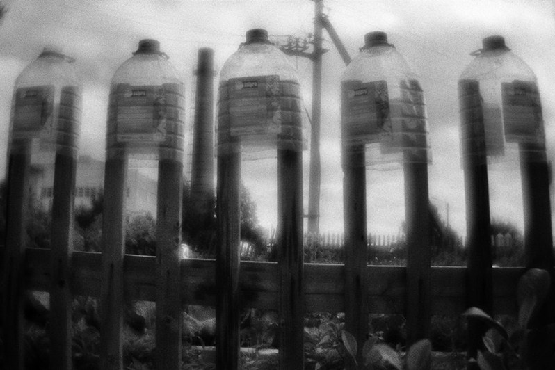 Сернур, Республика Марий Эл, Россия. Июль 2018