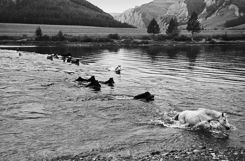 Провинция Хувсгел, Монголия. 2008