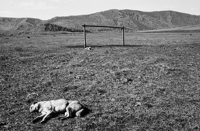 Tsagaan-Üür district, Khövsgöl province, Mongolia. 2010