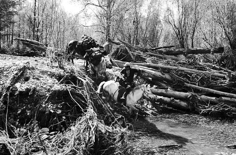 Tsagaan-Üür district, Khövsgöl province, Mongolia. 2010