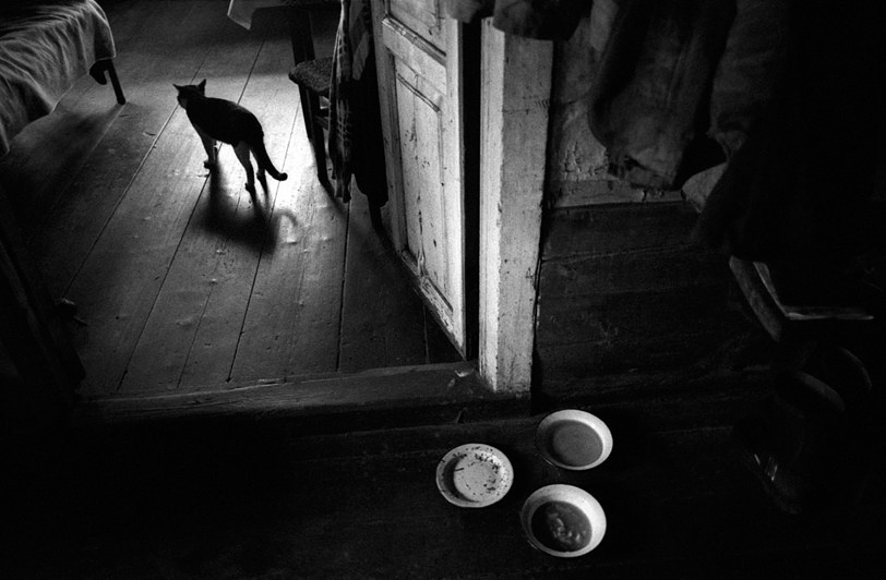 посёлок Унежма, Онежский район, Архангельская область, Россия. 2007