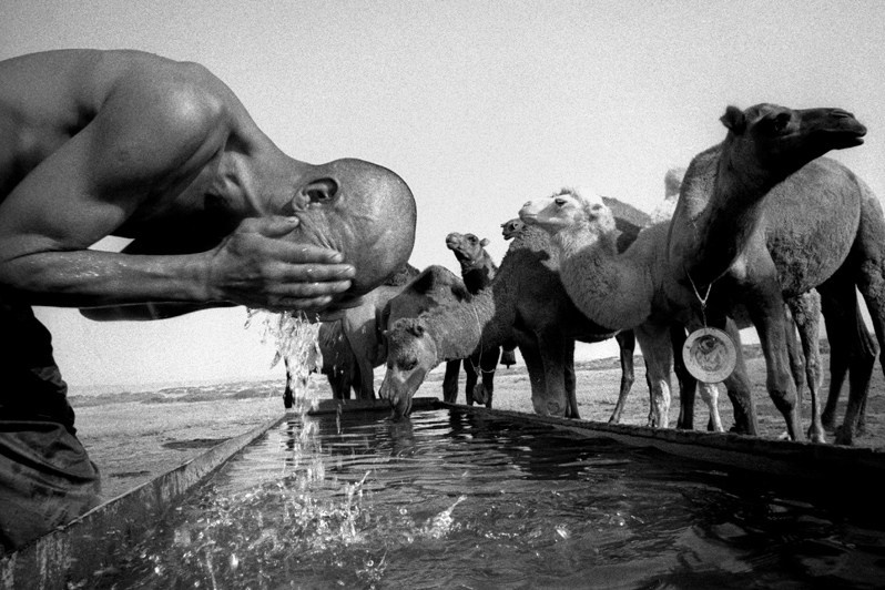 Water sharing, between Akespe and Tastubek villages, Aralsk district, Kyzyl-Orda region, Kazakhstan. August 2001