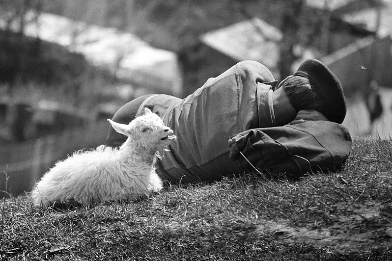 Колыбельная или Полёт мухи за час до пробуждения, Зеленодольск, Татарстан, Россия. 1993