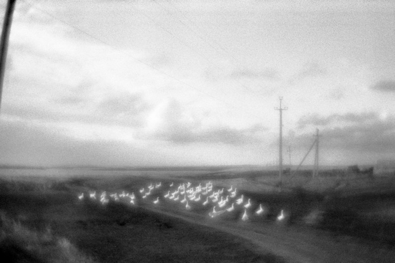 Оренбургская область, Россия. Сентябрь 2020