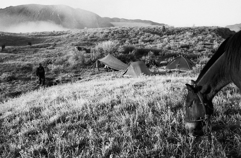 Ulaan Taiga mountains, Khövsgöl province, Mongolia. 2009