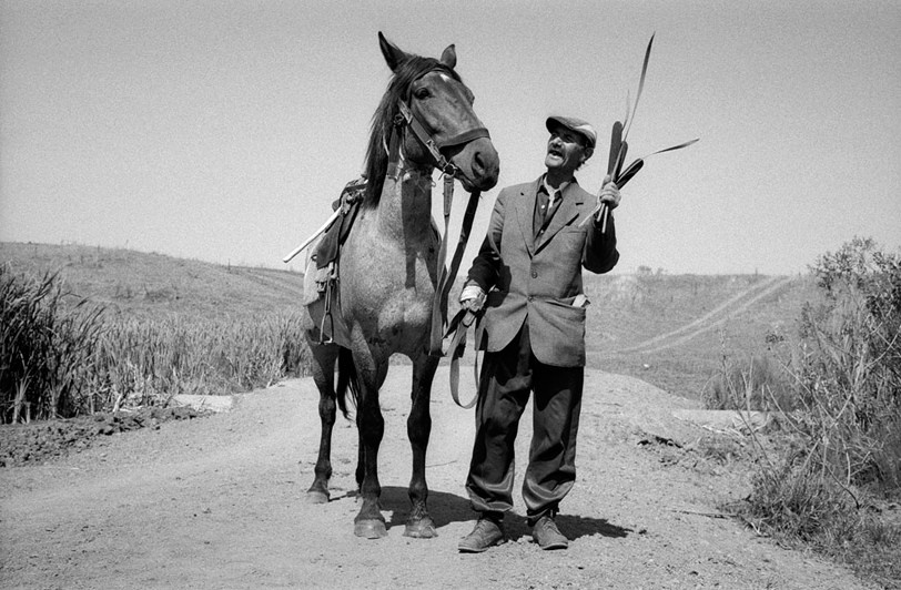 близ посёлка Касторное, Курская область, Россия. 2008