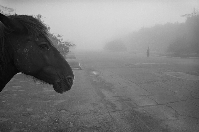 Парк "Соловьи”, Брянск, Россия. 2004