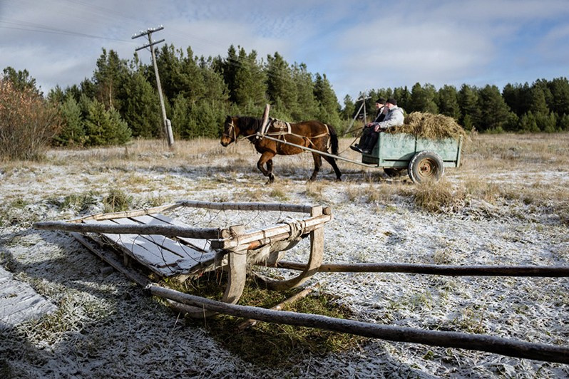 Beloshchelye village, Leshukonsky district, Arkhangelsk region, Russia. October 2017