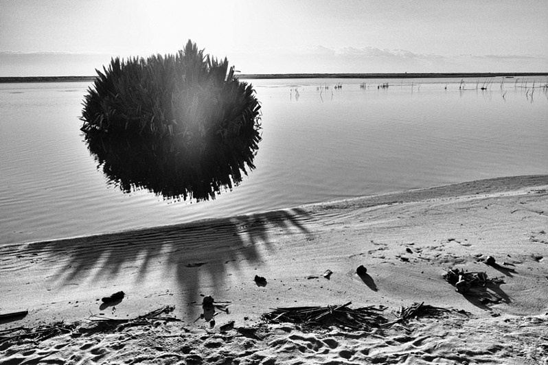 Reflections and shadows of water ferns, Farafangana, Atsimo-Atsinanana region, , Fianarantsoa province, Republic of Madagascar. 2012