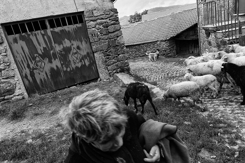 Woman goes to work in the field, Montalegre municipality, Vila Real district, Trás-os-Montes region, Portugal. 2016