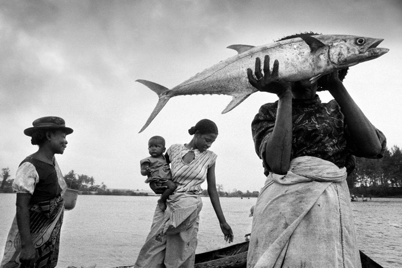 Women and tuna, Manakara, Vatovavy-Fitovinany region, Fianarantsoa province, Republic of Madagascar. 1997