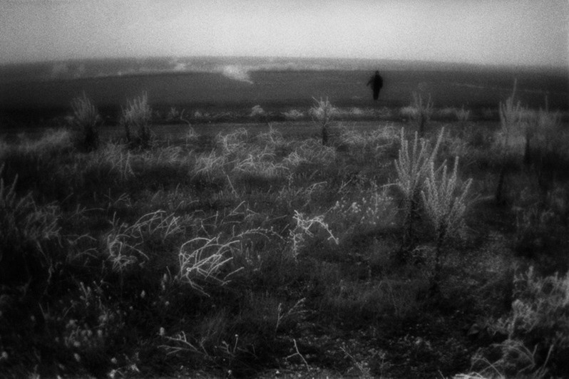 In fields, Central Anatolia region, Turkey. January 2009