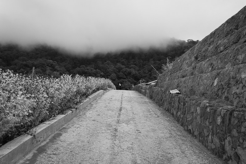 Domain with vegetable plantations in the Cameron Highlands, Perak state, Malaysia. October 2022
