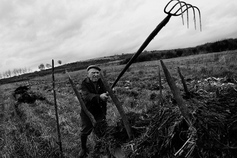 Man fertilizes his land by spreading manure, Montalegre municipality, Vila Real district, Trás-os-Montes region, Portugal. 2015