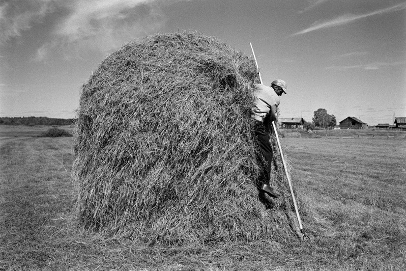 деревня Фроловская, Верхнетоемский район, Архангельская область, Россия. 2010