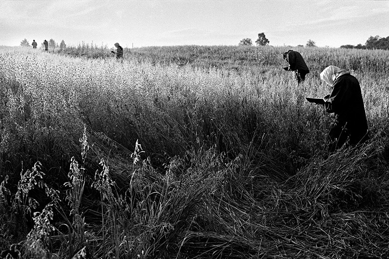 Ярославская область, Россия. Июль 2006