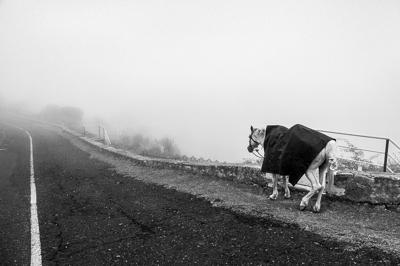 Fog, near Vank  village, Martakert district, Nagorno Karabakh Republic. October 2013