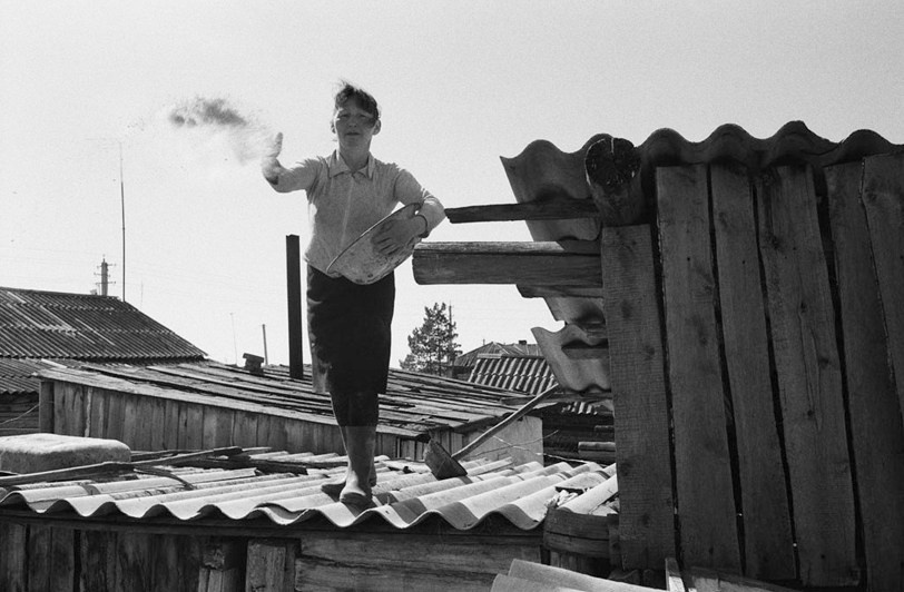 село Покровка, Чановский район, Новосибирская область, Россия. 2010