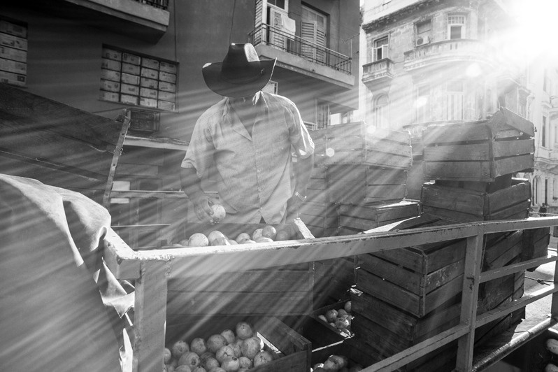Farmer checks his produce before delivering it to the central market, Ánimas street, Centro Habana district, Havana, Cuba. 2016