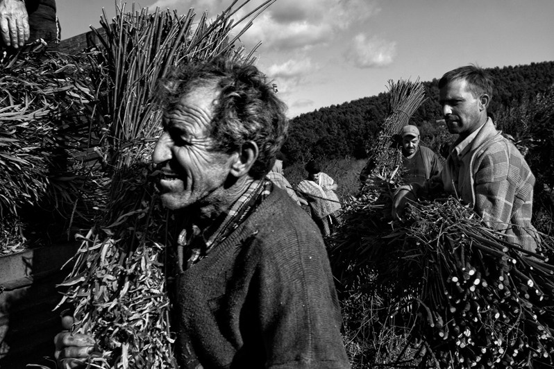 село Иза, Хустский район, Закарпатская область, Украина. 2004