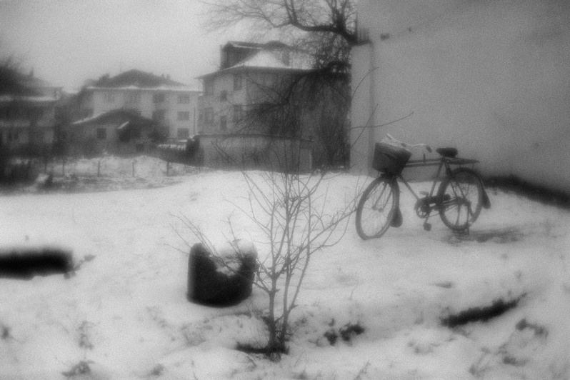 Front gardens, Düzce, Turkey. January 2008