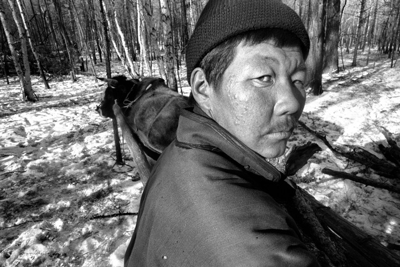 Решимость, в окрестностях Булага, Тунэлский район, провинция Хувсгел, Монголия. Январь 2002