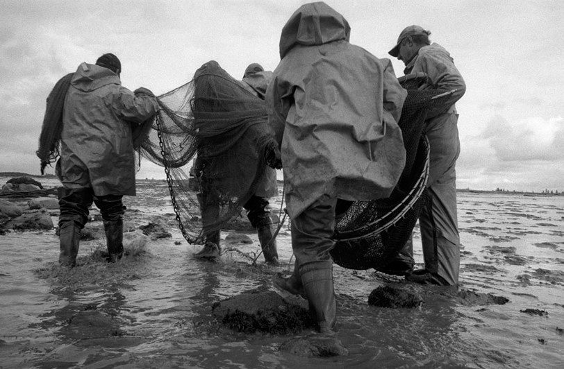 близ деревни Унежма, Онежский район, Архангельская область, Россия. 2007