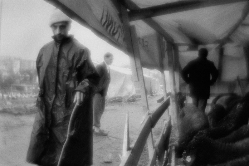 Temporary cattle market, Istanbul, Turkey. November 2009
