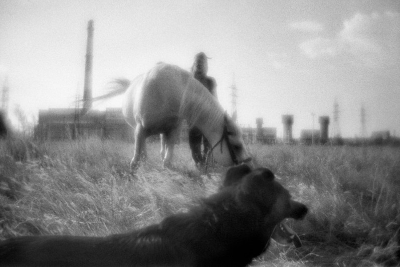 Гай, Оренбургская область, Россия. Июль 2022